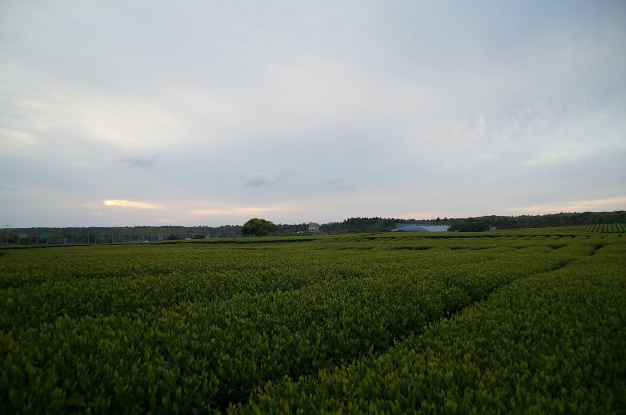 Jeju Aerospace Seogwipo