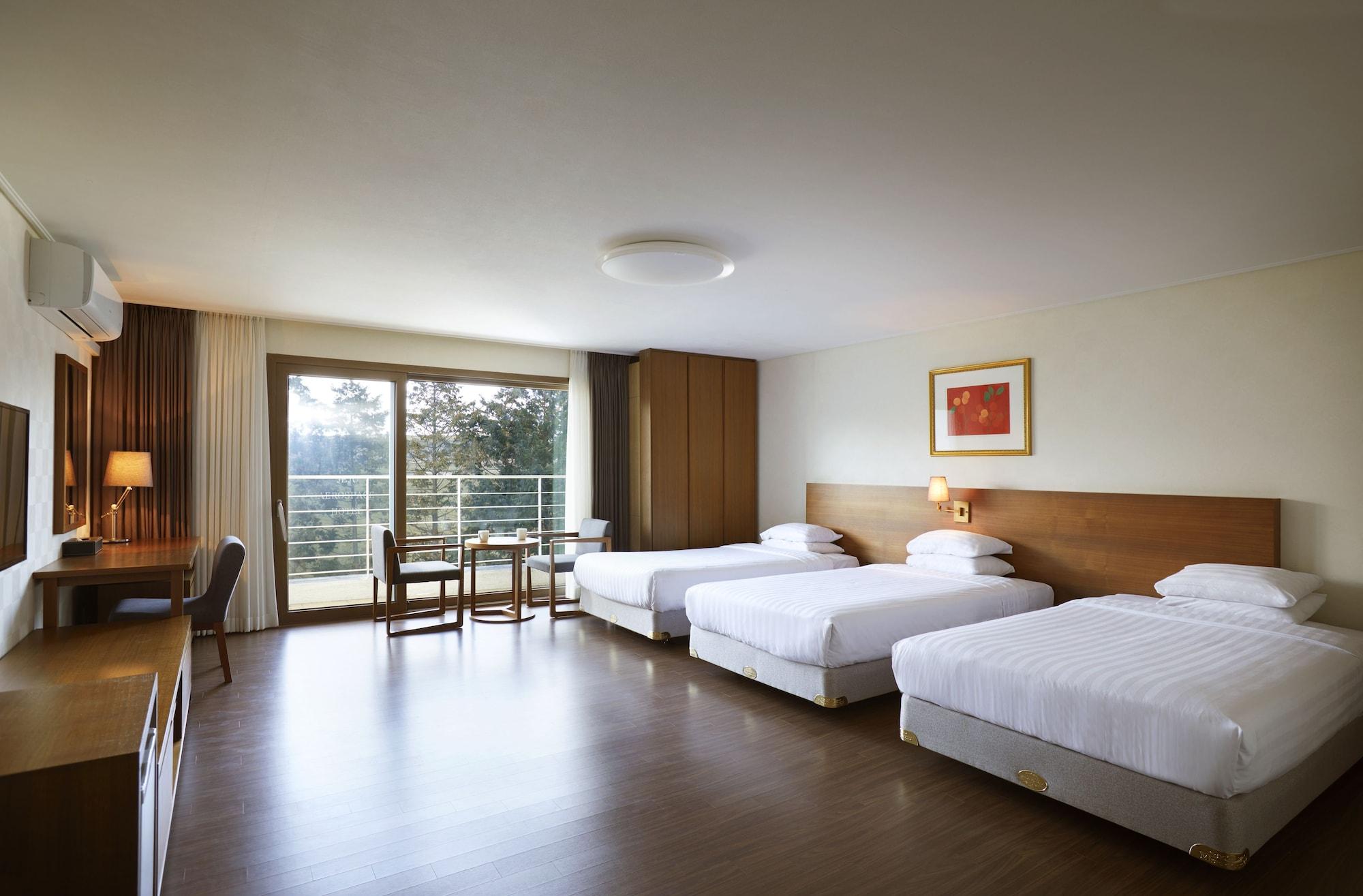 Jeju Aerospace Hotel